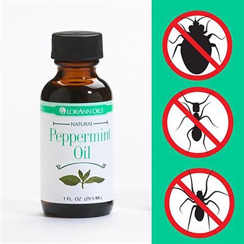 Peppermint Oil Natural Bug Repellent